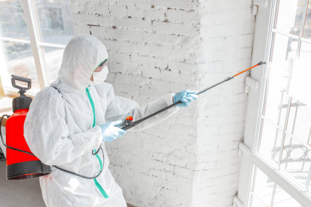 Best Comprehensive Air Testing for Mold Contaminants  in Bloomingburg, OH