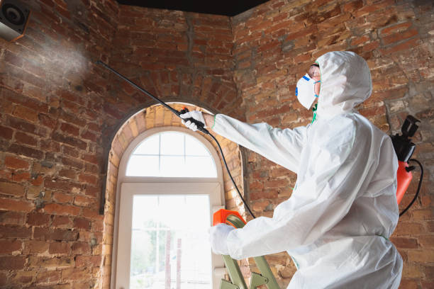 Best Mold Remediation for Rental Properties  in Bloomingburg, OH